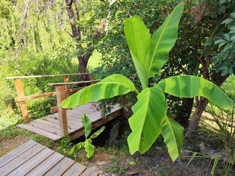 L'Oustalet D'Erine - Spacieuse Et Climatisee Albi Ngoại thất bức ảnh